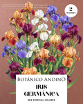 Iris germánico Mix x 2 rizomas