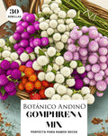 Gomphrena mix | 30 semillas