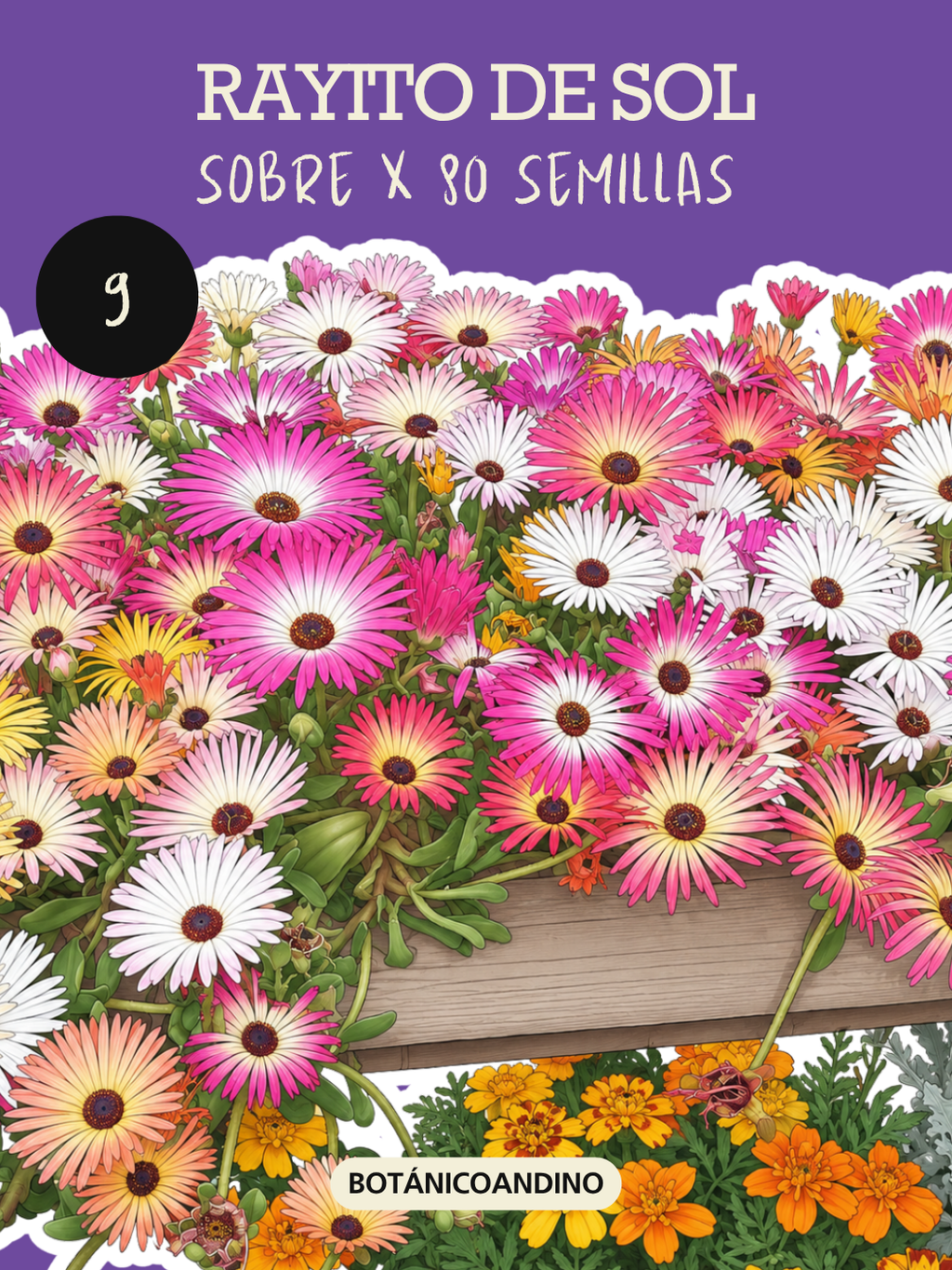 PROMO SEMILLAS X 9 SOBRES