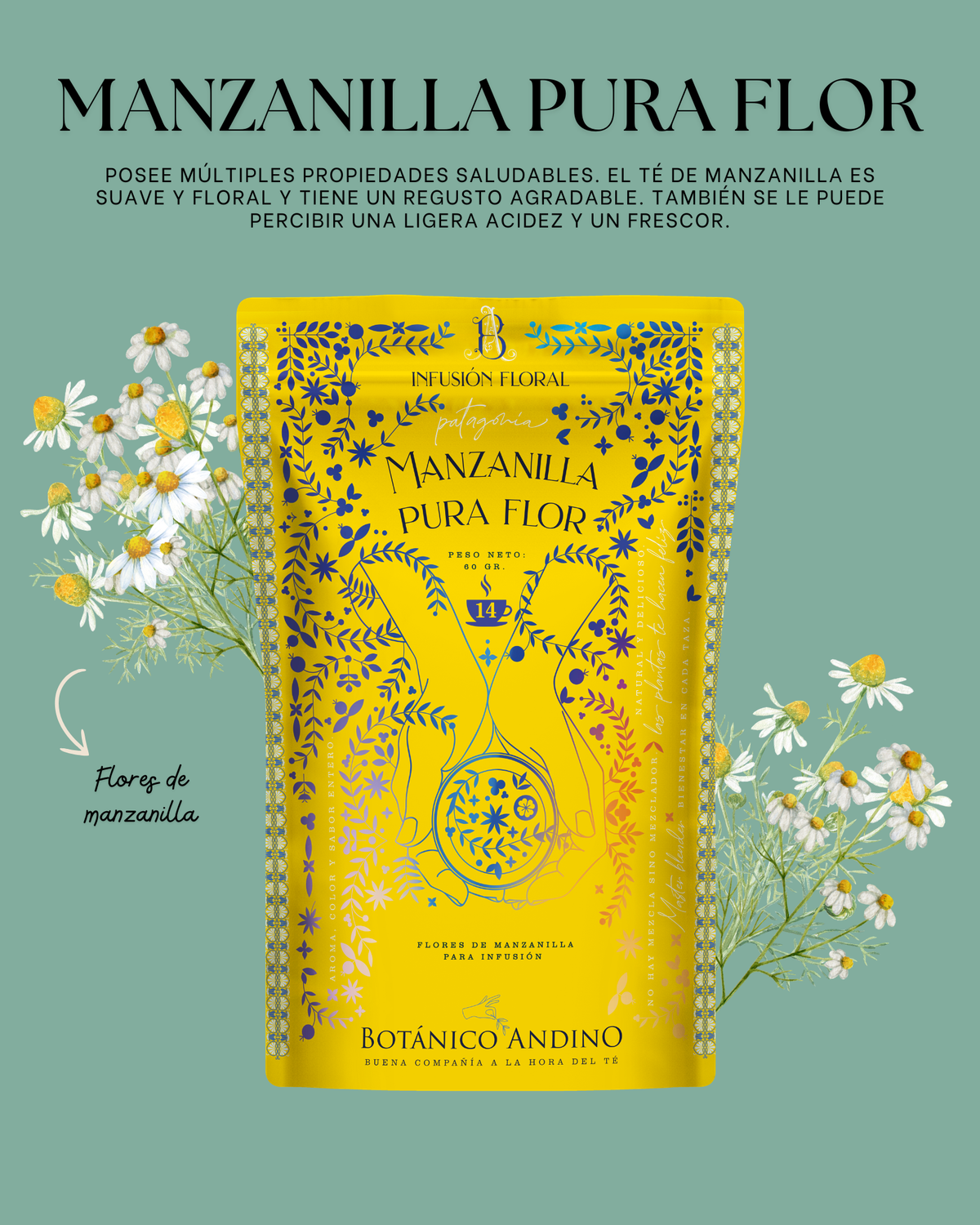 Manzanilla pura flor