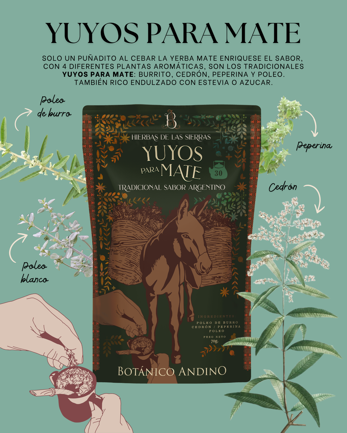 Yuyos para mate