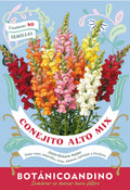 Conejito Alto - bianual (Pack x 10 sobres)