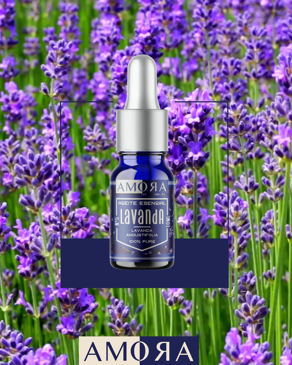 KIT ESENCIAL | LAVANDA, MENTA & ROMERO