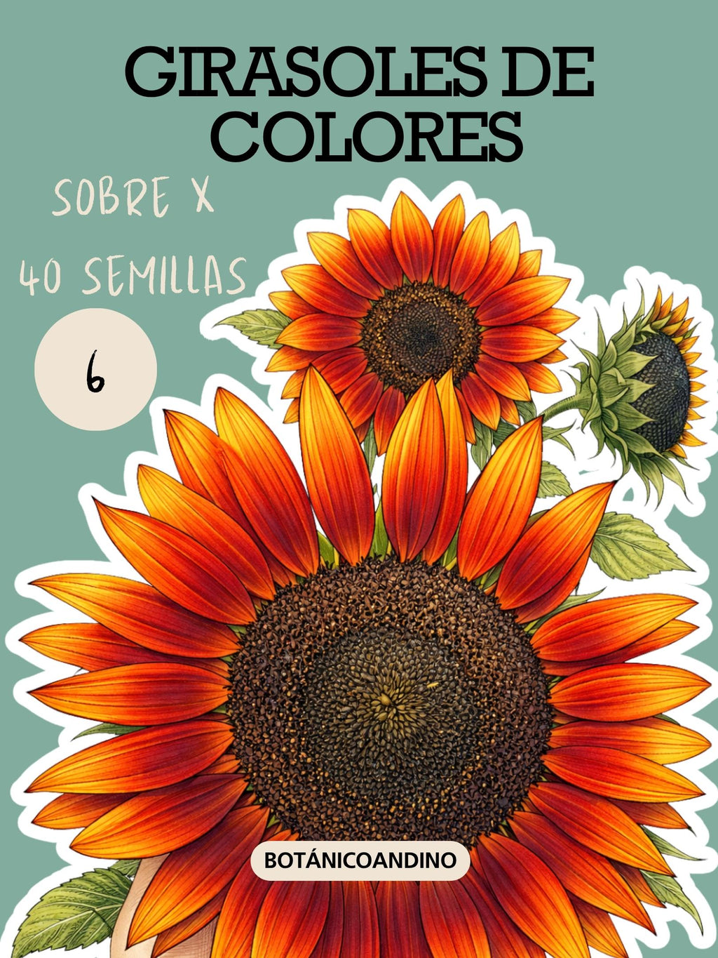PROMO SEMILLAS X 9 SOBRES