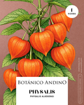 Physalis alkekengi naranja
