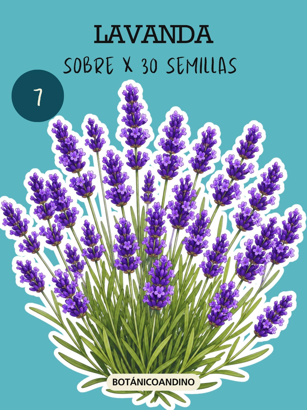 PROMO SEMILLAS PERENNES X 9 SOBRES