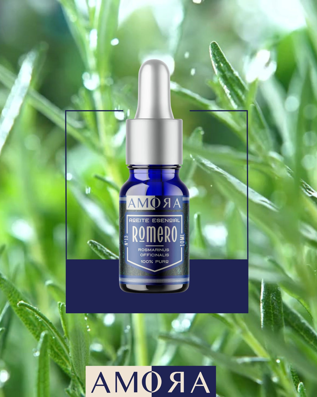 KIT ESENCIAL | LAVANDA, MENTA & ROMERO