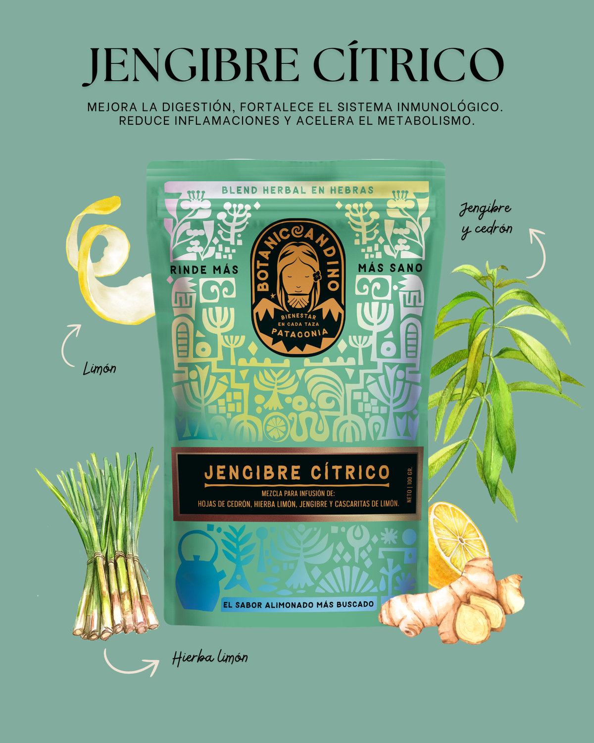 Jengibre cítrico ( Pack por mayor x 10 un.)