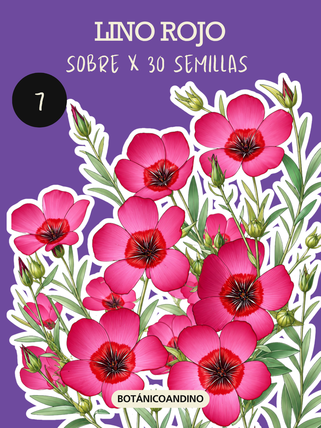 PROMO SEMILLAS X 9 SOBRES