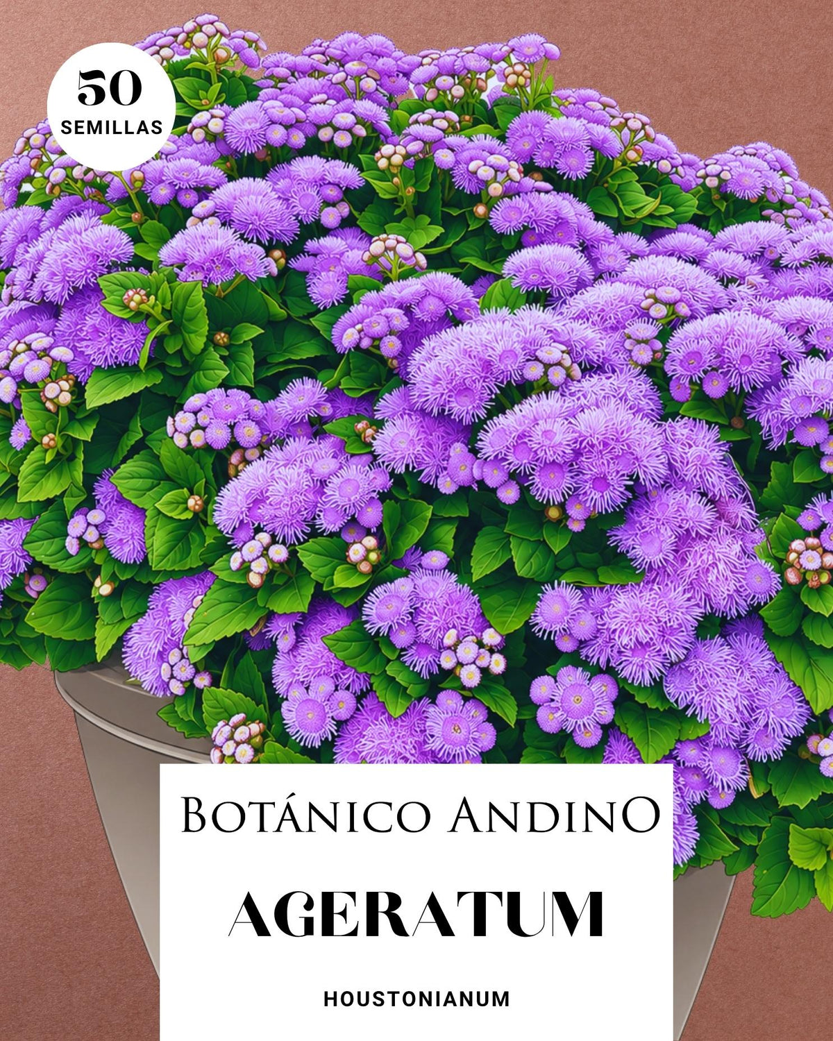 Ageratum | 50 semillas