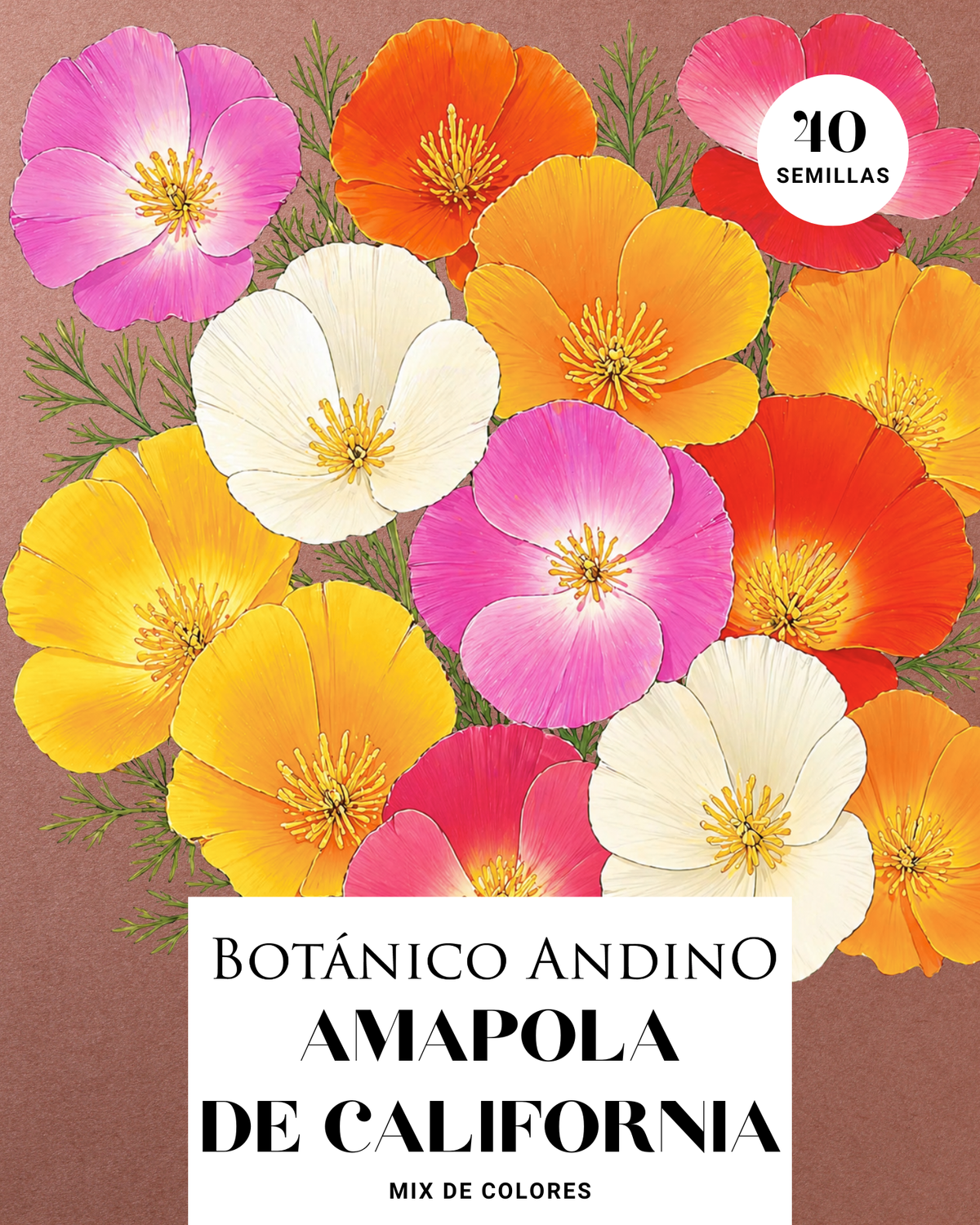 Amapola de California mix (40 semillas)