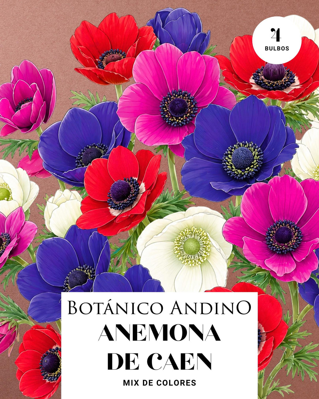Anemona de caen mix (4 Bulbos)