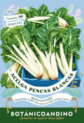 Acelga pencas anchas