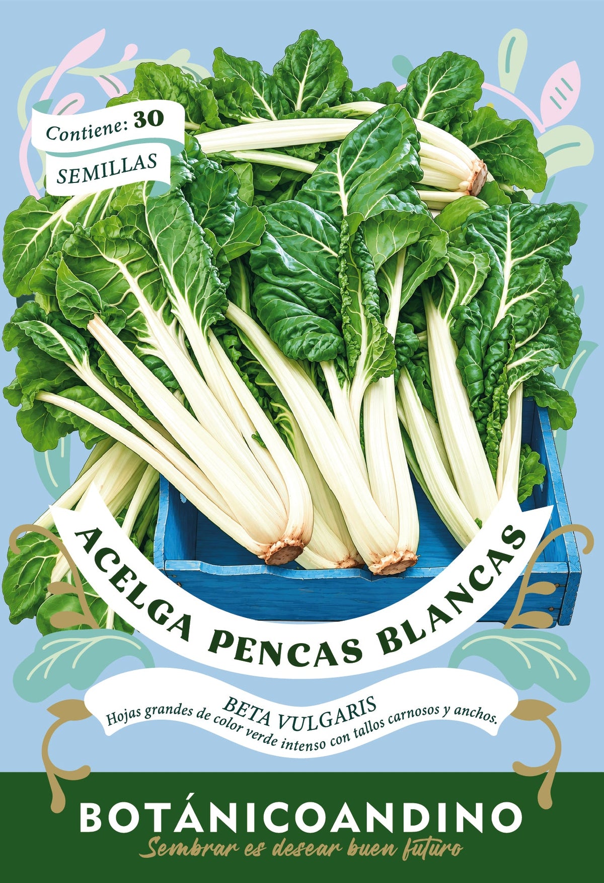 Acelga pencas anchas