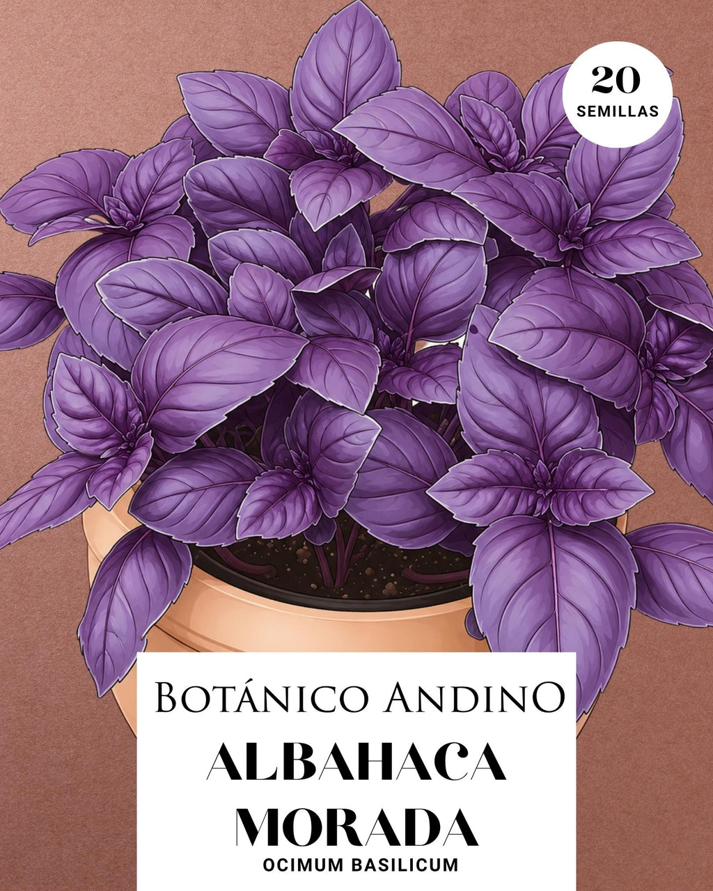 Albahaca Morada