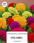 Celosía cristata | 30 semillas