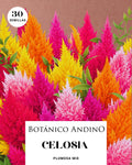 Celosía plumosa | 30 semillas