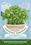 Albahaca Genovesa