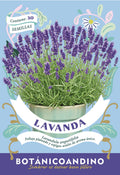 Lavanda