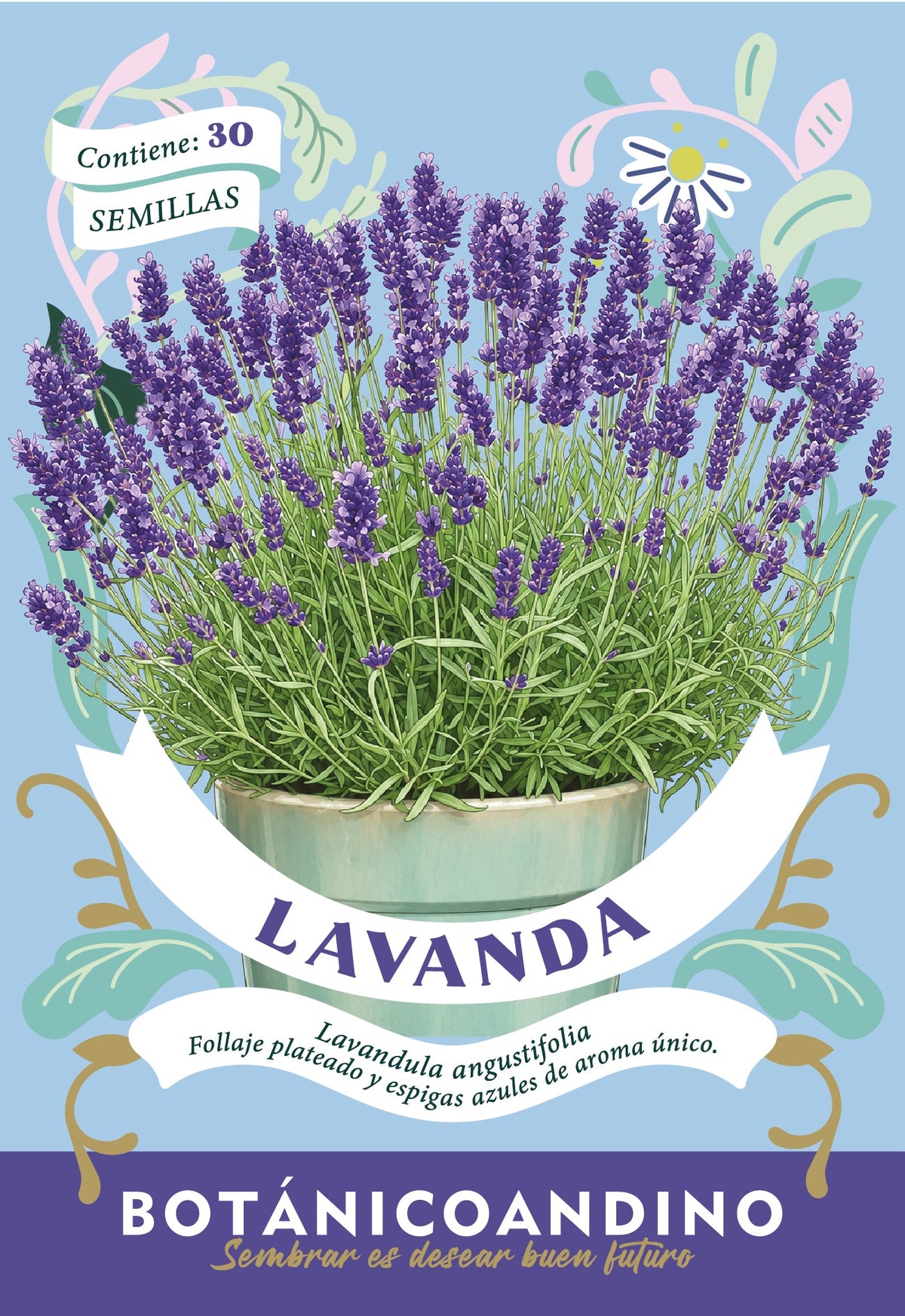 Lavanda