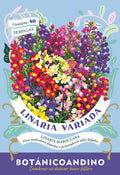 Linaria variada