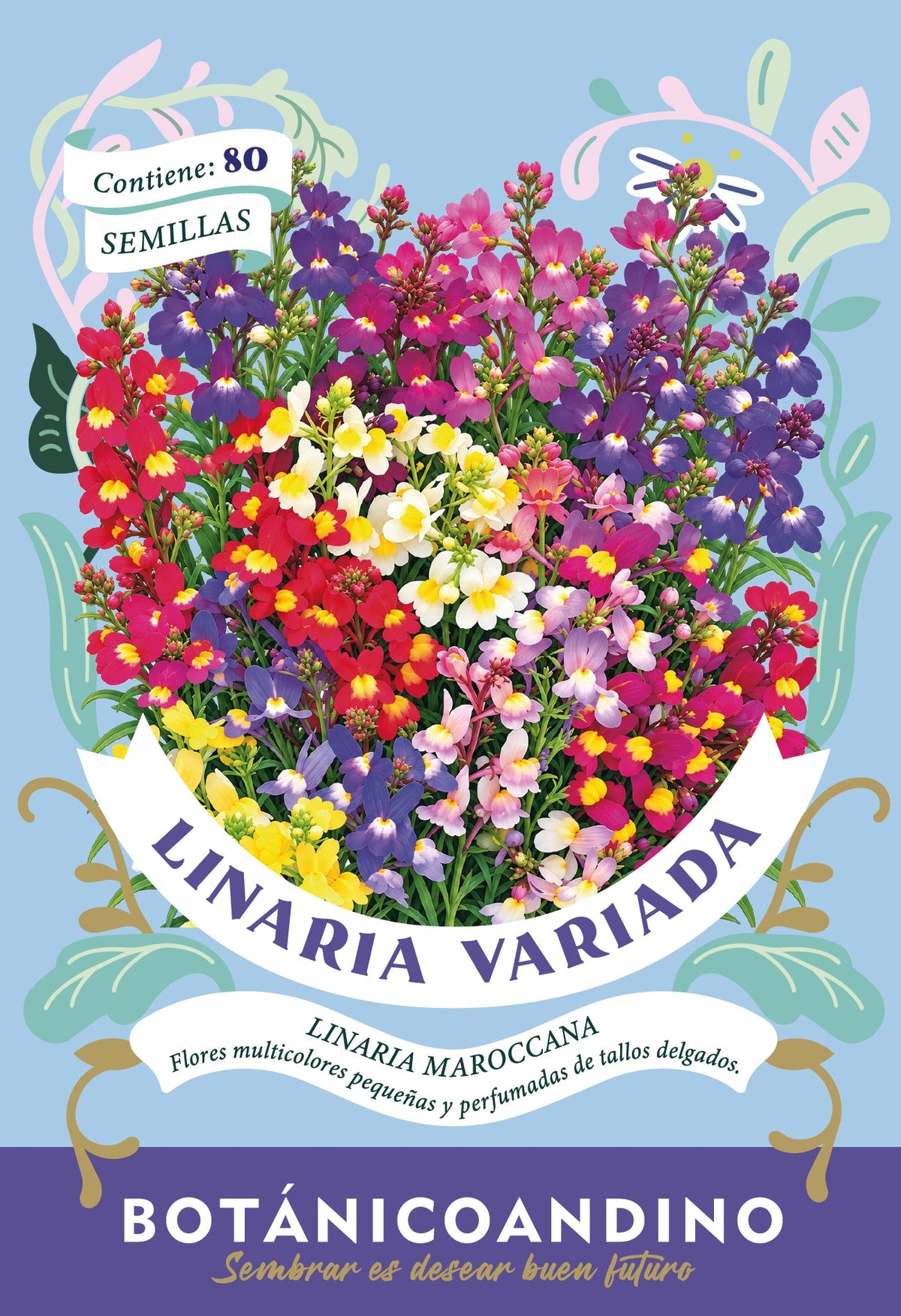 Linaria variada