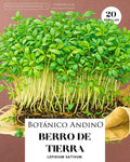 Berro de tierra