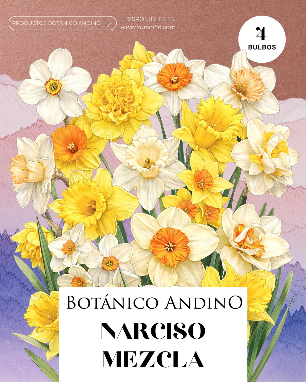 Narcisos mix x 4 bulbos