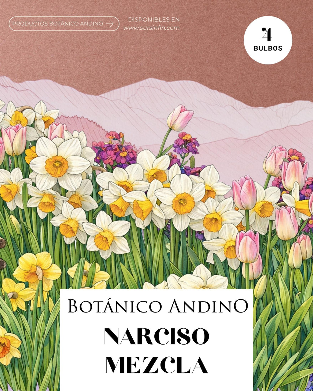 Narcisos mix x 4 bulbos