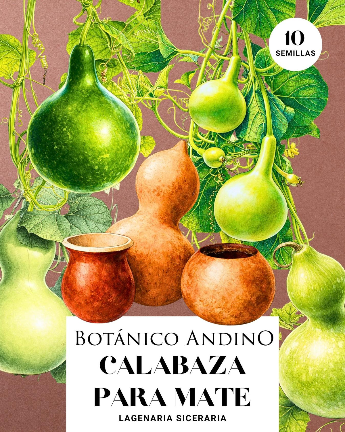 Calabaza para mate