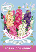 Alelí perfumado (Pack 10 sobres)