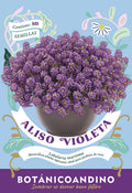 Aliso violeta
