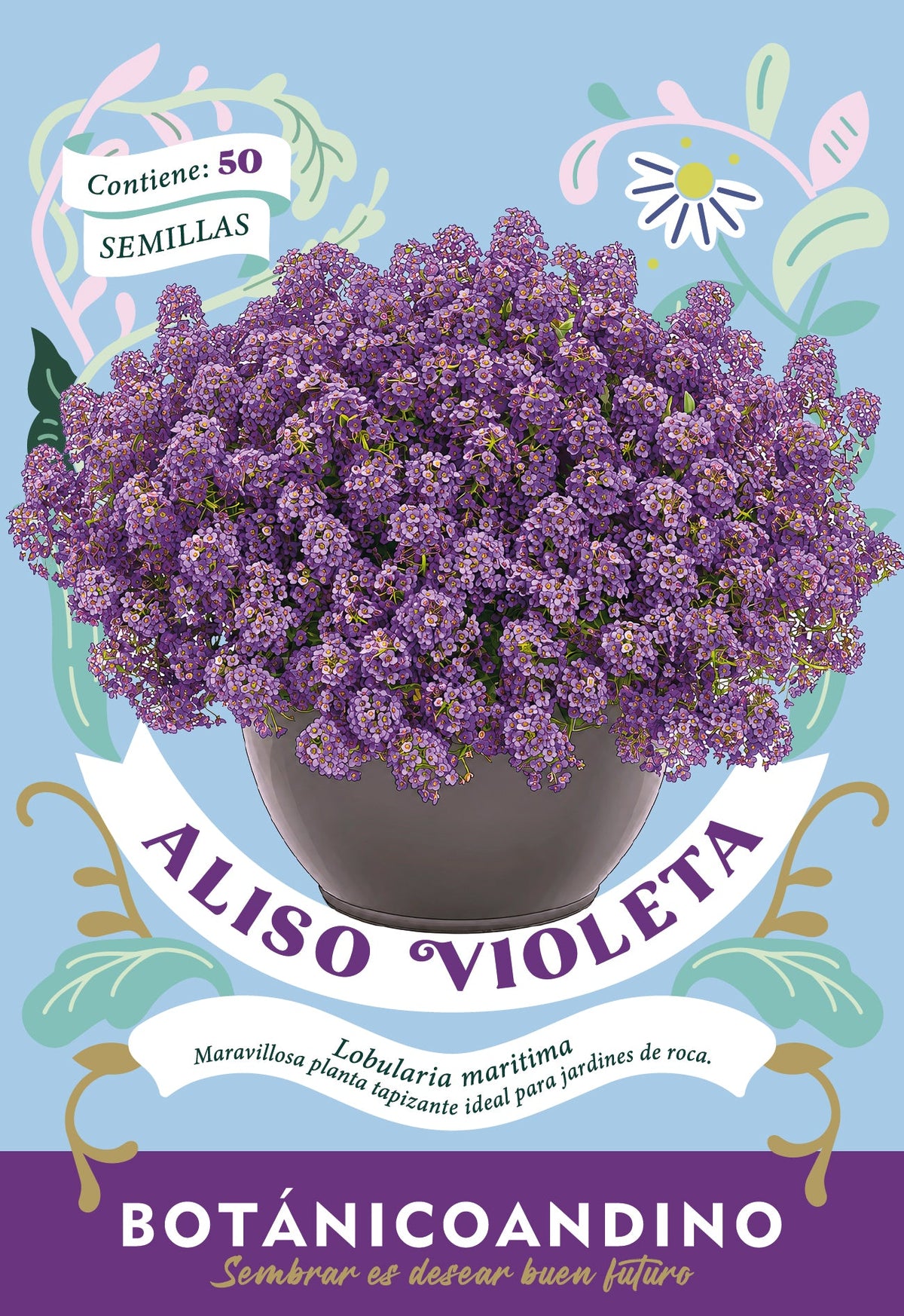 Aliso violeta