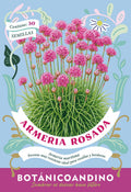 Armeria marítima (Pack x 10 sobres)