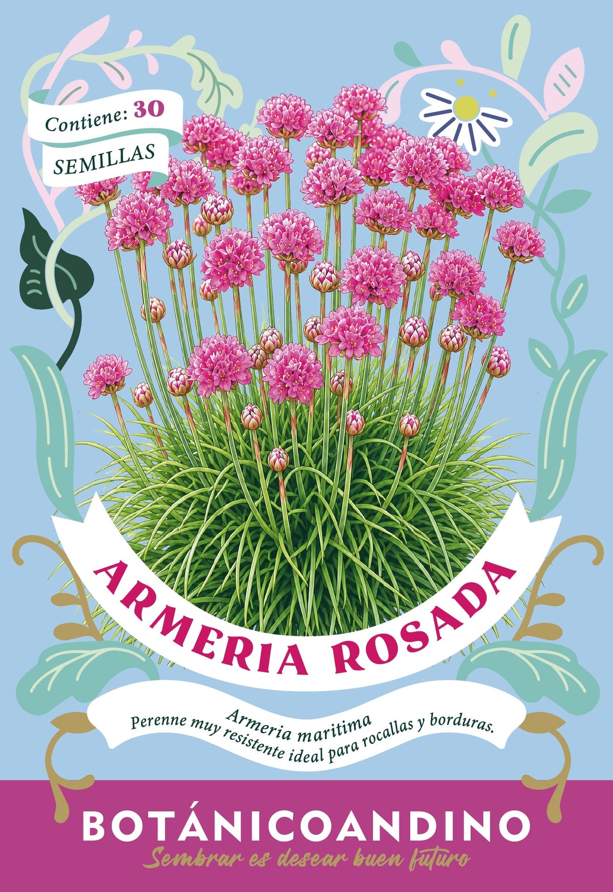 Armeria marítima (Pack x 10 sobres)