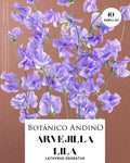 Arvejilla perfumada lila (10 semillas)