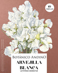 Arvejilla perfumada blanca (10 semillas)
