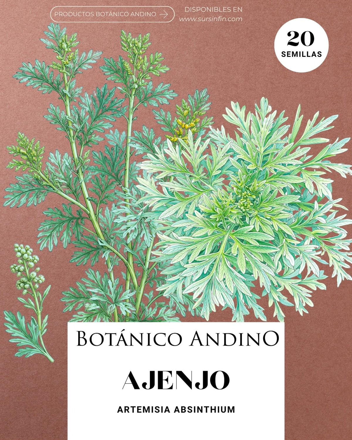 Ajenjo