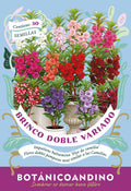 Balsamina doble mix