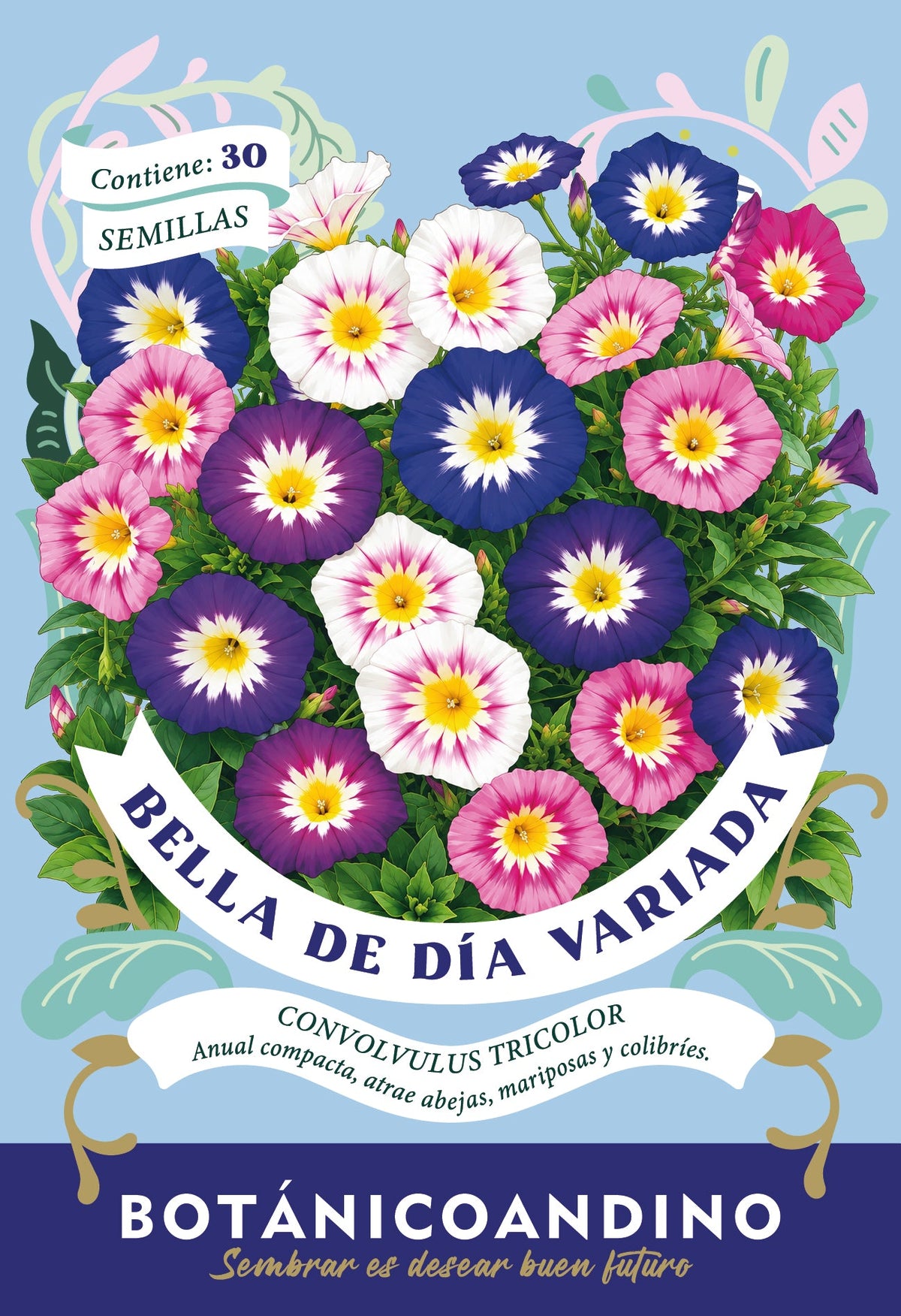 Bella de día (Pack x 10 sobres)