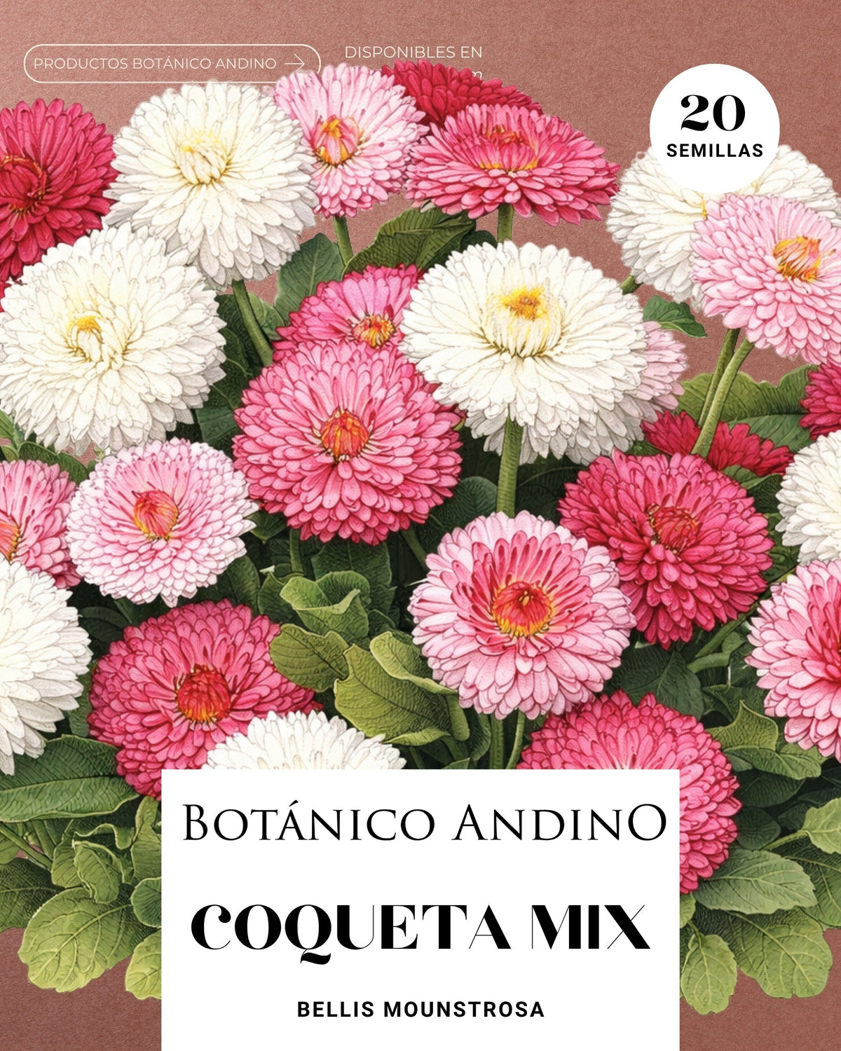 Coqueta Mix