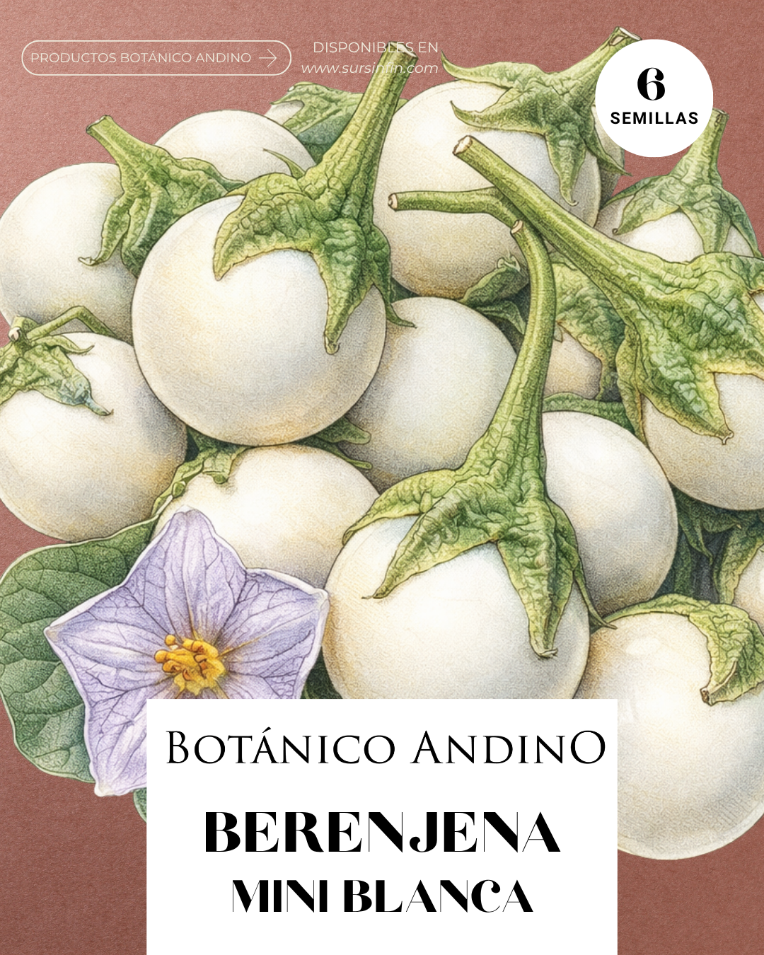 Berenjena baby blanca F1