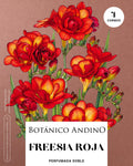 Freesia doble roja
