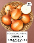 Cebolla valencianita