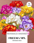 Freesia doble mix