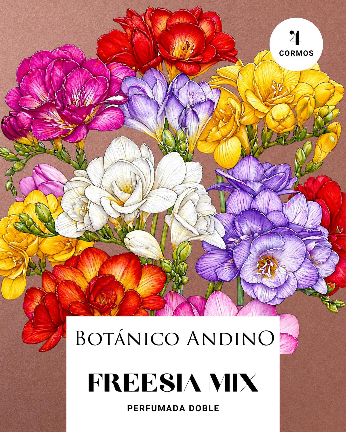 Freesia doble mix