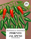 Ají picante Jalapeño