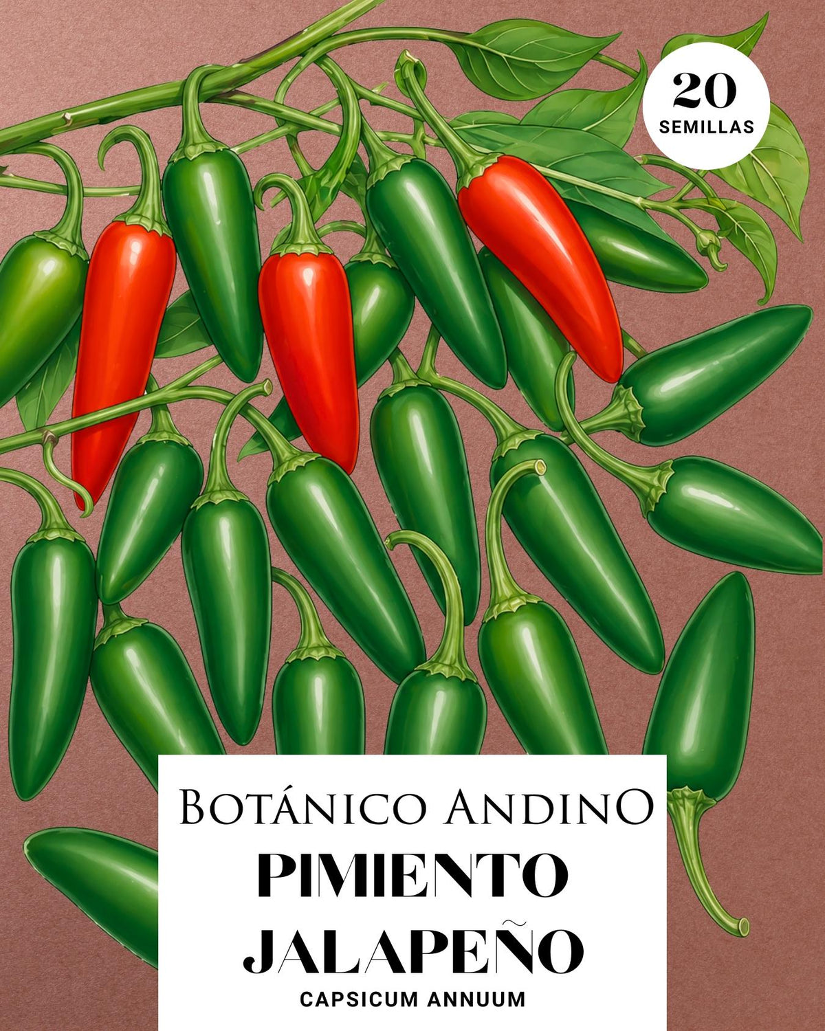 Ají picante Jalapeño