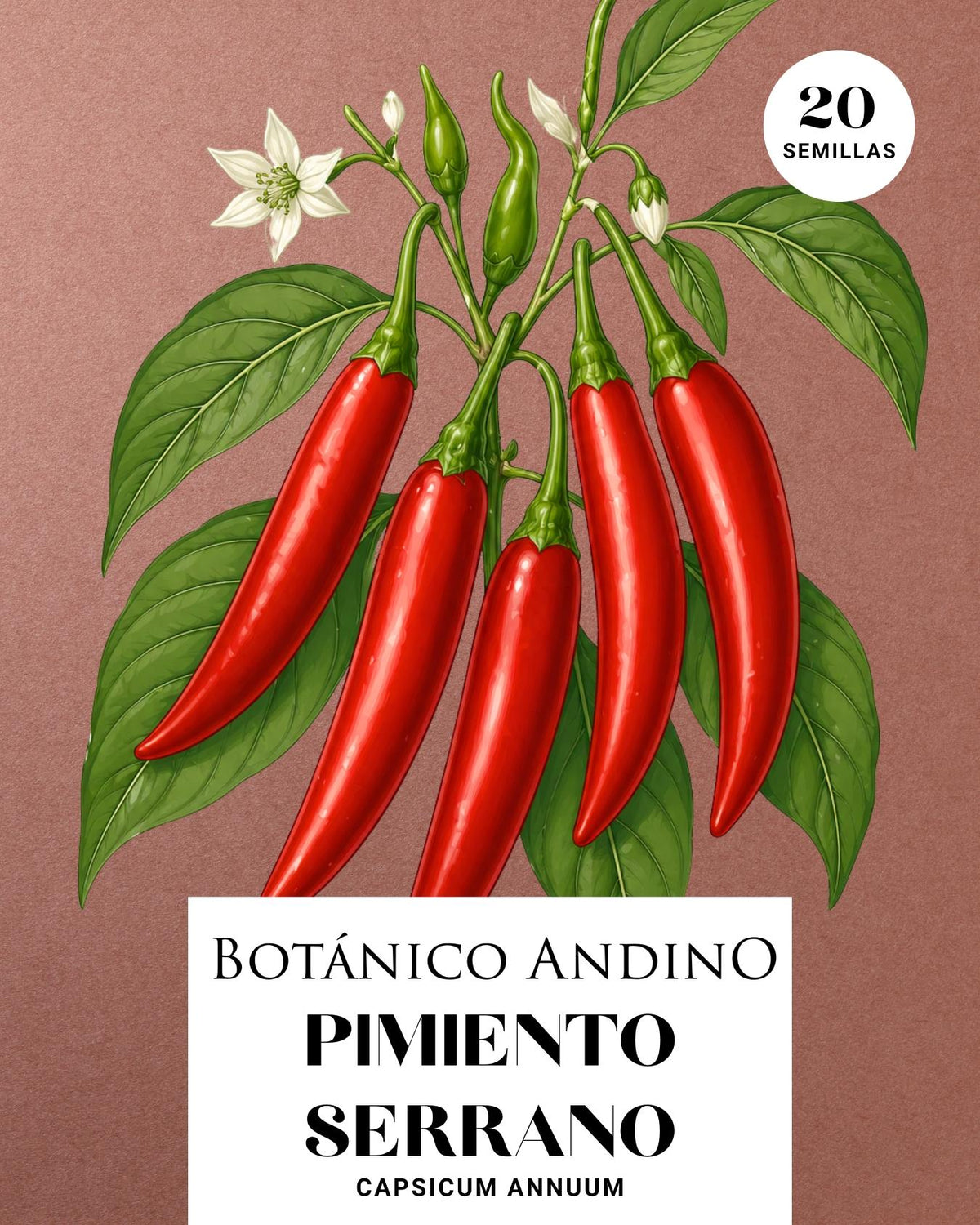 Ají picante Serrano