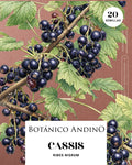 Cassis